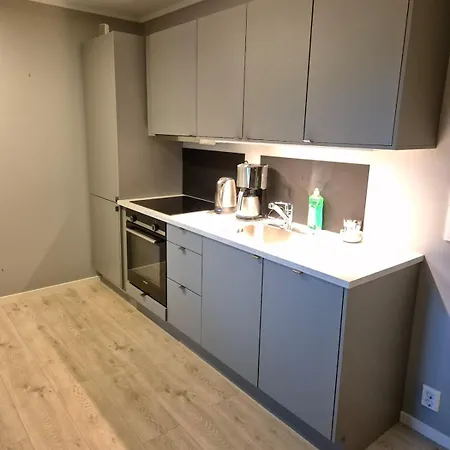 Lejlighed 3-room With Free Parking *